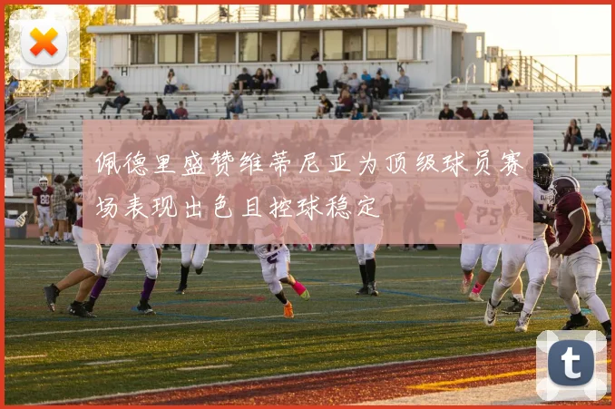 佩德里盛赞维蒂尼亚为顶级球员赛场表现出色且控球稳定