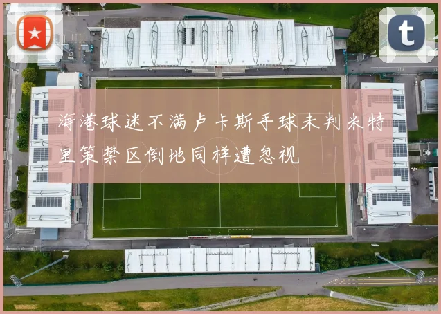 海港球迷不满卢卡斯手球未判米特里策禁区倒地同样遭忽视